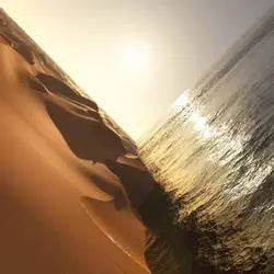 Mark Pritchard - Under The Sun (Preorder 25/07/25)