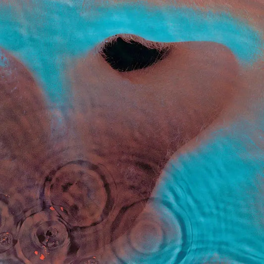 Pink Floyd - Meddle (Preorder 27/06/25)