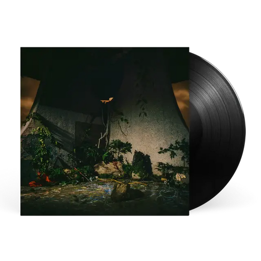 The Plot In You - The Plot In You (Preorder 10/07/26)