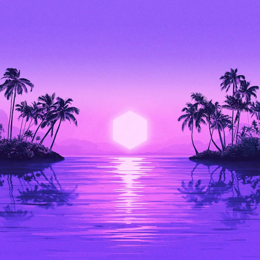 Purple Disco Machine - Paradise (Preorder 20/09/24)