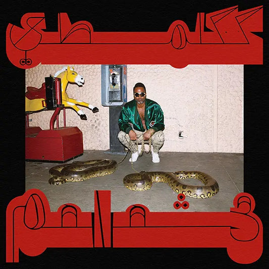 Shabazz Palaces - Robed in Rareness (Preirder 29/03/24)