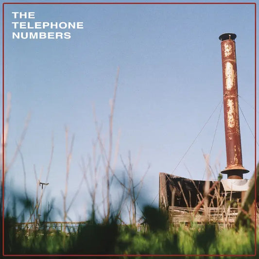 The Telephone Numbers - Scarecrow II (Preorder 10/10/25)