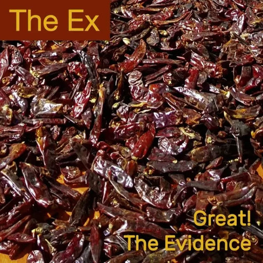 The Ex - Great! / The Evidence