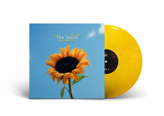 The Snuts - Joy In Short Moments