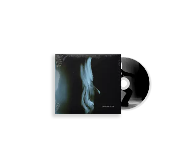 Tom Odell - A Wonderful Life (Preorder 05/09/25)