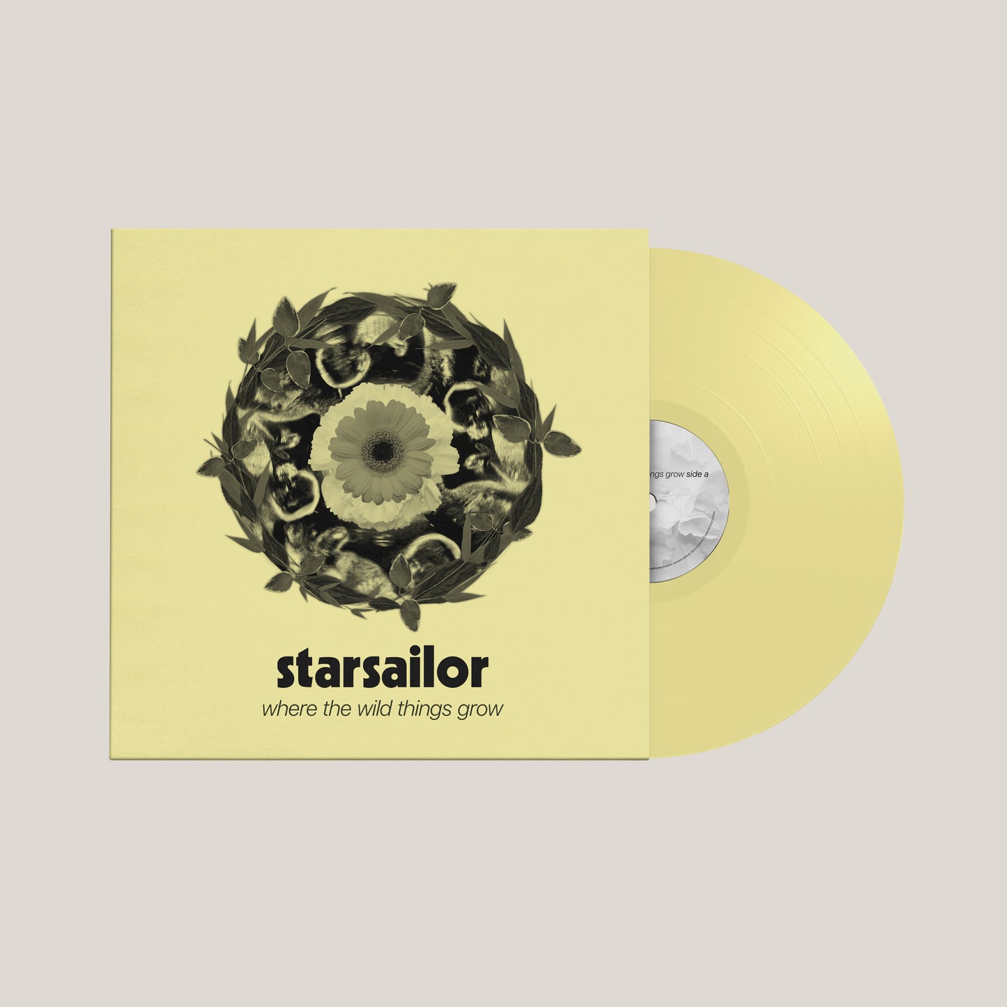 Starsailor - Where The Wild Things Grow (Preorder 22/04/24)