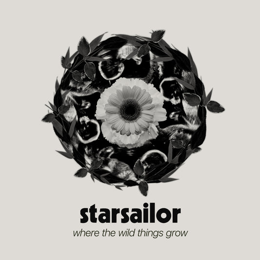 Starsailor - Where The Wild Things Grow (Preorder 22/04/24)