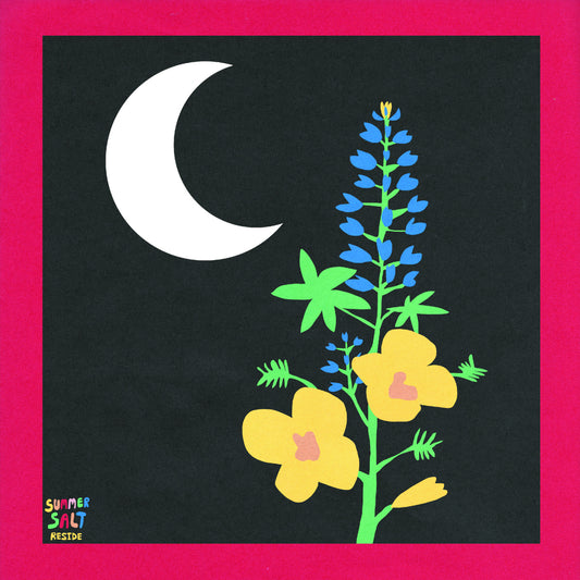 Summer Salt - Reside (Preorder 07/11/25)