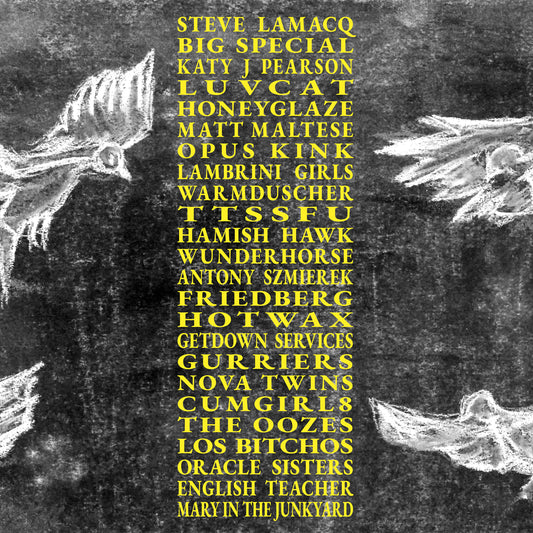 Various Artists - A Hideous Collective (Preorder 05/09/25)