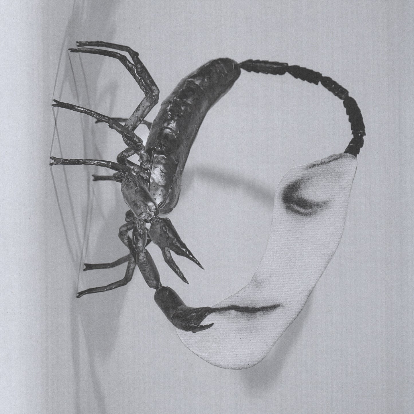 Tortoise - Touch (Preorder 24/10/25)