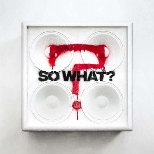 While She Sleeps - SO WHAT? - The Vault Collective ltd