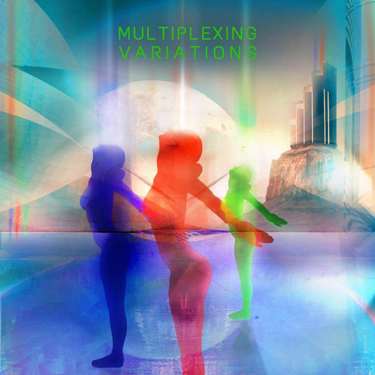 Various ‎– Multiplexing Variations - The Vault Collective ltd